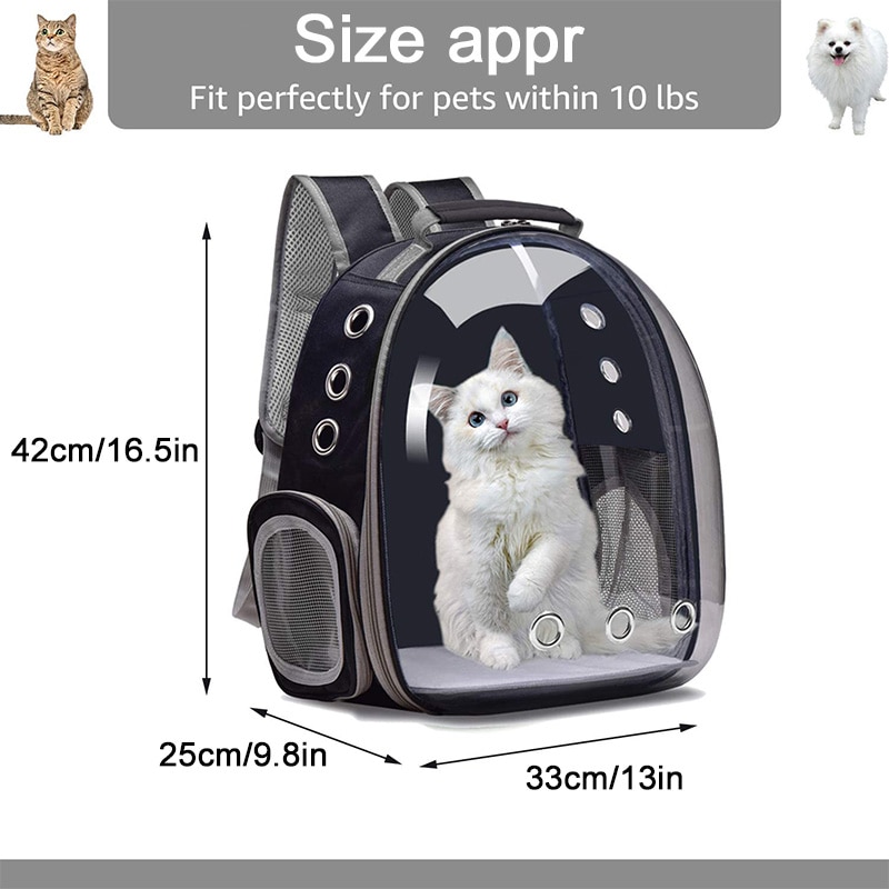 Portable Backpack Transparent and Breathable - Image 2