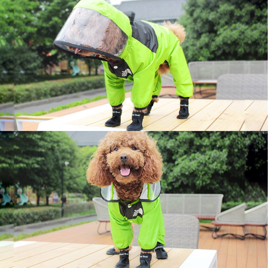 Dog Raincoat Transparent Hooded - Image 5
