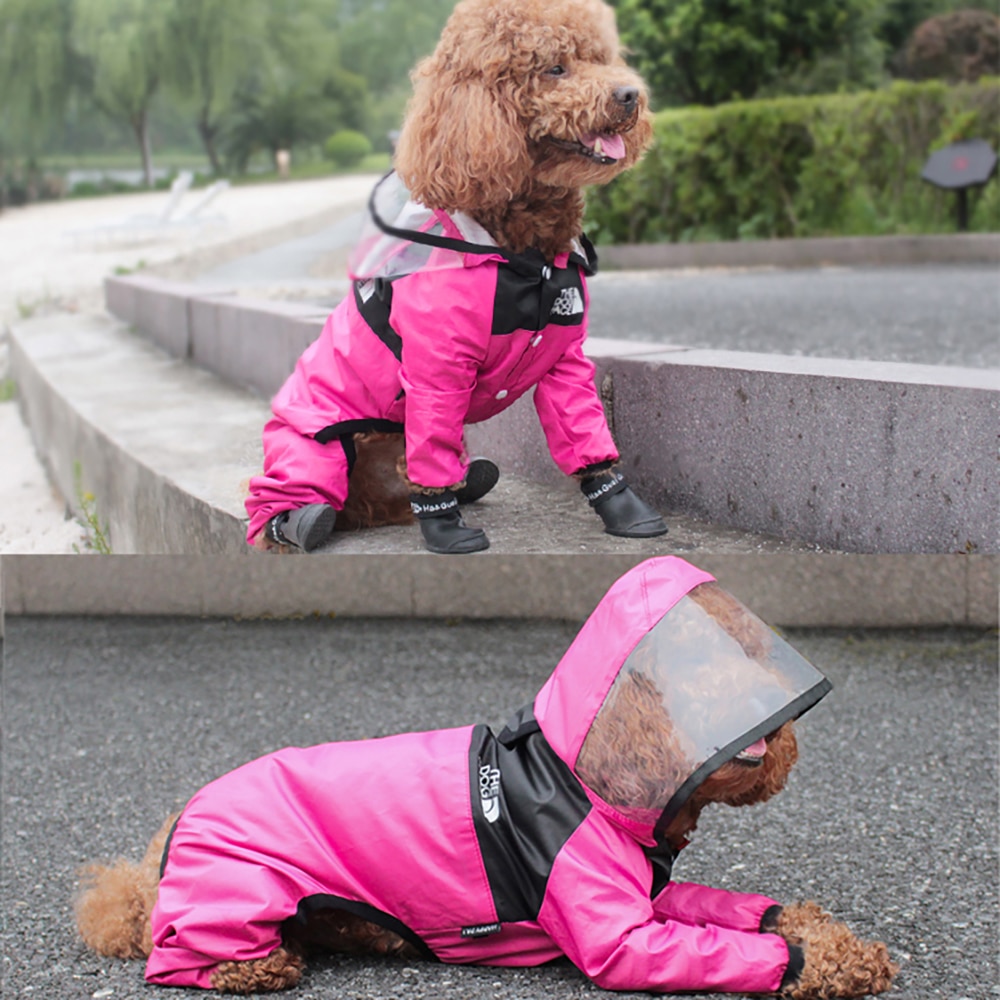 Dog Raincoat Transparent Hooded - Image 6